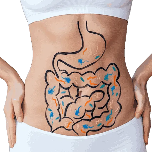 Neotonics gut health